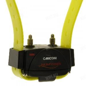 Доп.ошейник к системам Num`Axes Canicom 800 / 500 Pro / 1500 / 1500 Pro, желтый картинка анонса на сайте WHT.ru