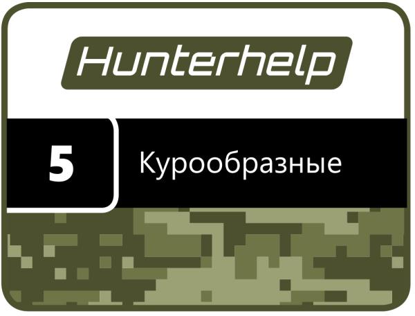 Карта памяти №5. Фонотека Hunterhelp «Курообразные». Версия 5 картинка анонса на сайте WHT.ru