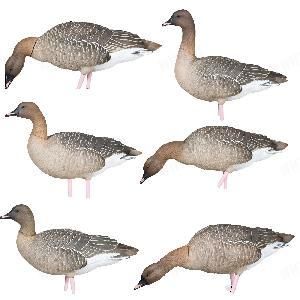 Комплект Avian-X полноразмерных чучел гуся гуменника - AXP Pinfoots Fusion картинка анонса на сайте WHT.ru