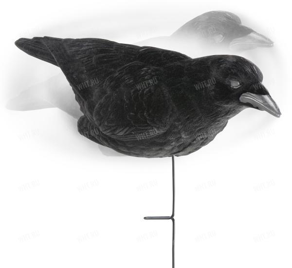 Чучела ворона Lucky Duck (3 шт.) картинка анонса на сайте WHT.ru