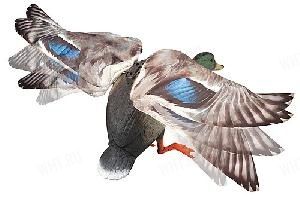 Чучело кряквы с машушими крыльями Lucky Duck - Rapid Flyer (селезень) картинка анонса на сайте WHT.ru
