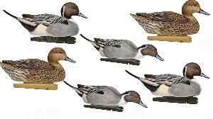 Чучела шилохвости Avian-X - TOPFLIGHT Pintails (6 шт.) картинка анонса на сайте WHT.ru