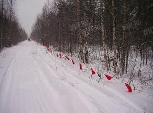 Волчий оклад - флажки для охоты 1 км (вес 4,1 кг) картинка анонса на сайте WHT.ru