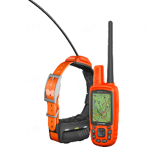 Система отслеживания перемещений собаки Garmin Alpha 50 c ошейником Alpha T5 картинка анонса на сайте WHT.ru
