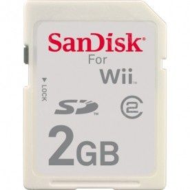Карта памяти SD SanDisk VIDEO, 2 Гб (водозащищенная, ударопрочная) картинка анонса на сайте WHT.ru