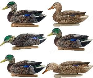 Чучела уток (кряквы) Avian-X - Early Season Topflight Mallards (6 шт.) картинка анонса на сайте WHT.ru