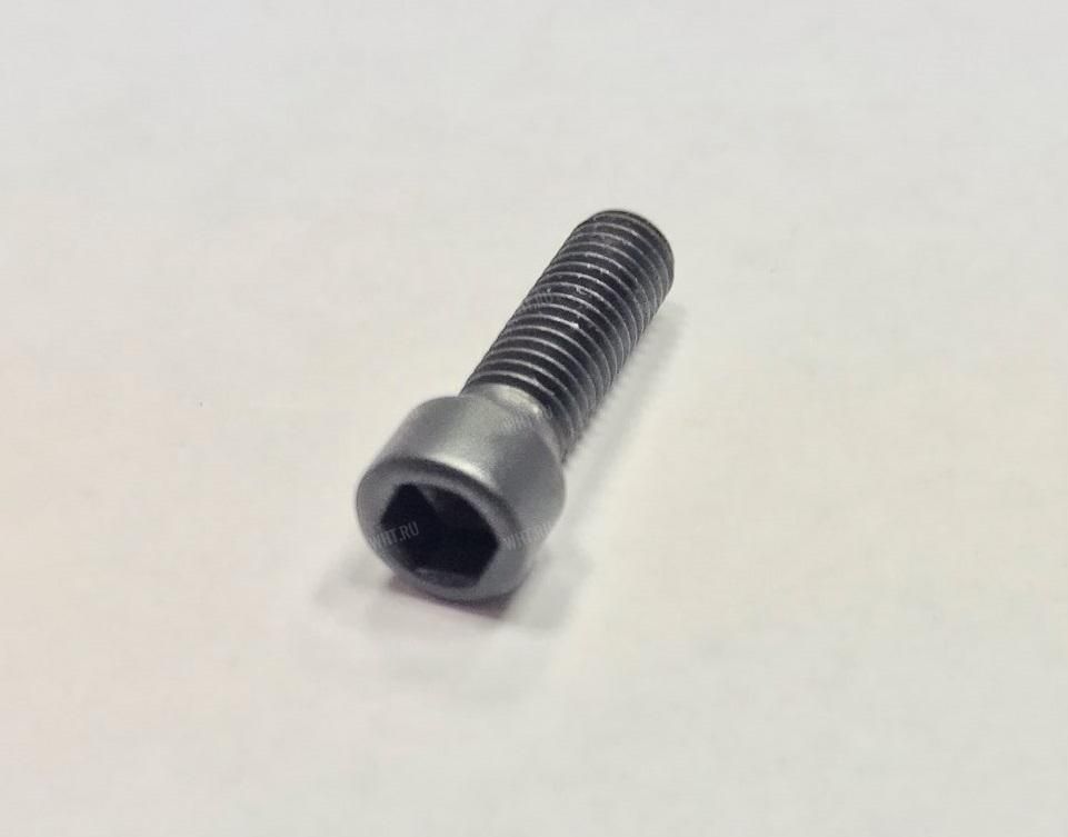 Винт M5х16 (диаметр головки 6,4 мм) стяжной для передней цапфы поворотных кронштейнов Apel-EAW