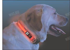 Светящийся ошейник Nite Ize Nite-Dawg, красный картинка анонса на сайте WHT.ru