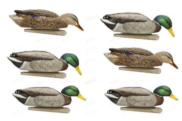 Чучела уток (кряквы) Avian-X - TOPFLIGHT BACK WATER Mallards (6 шт.) картинка анонса на сайте WHT.ru