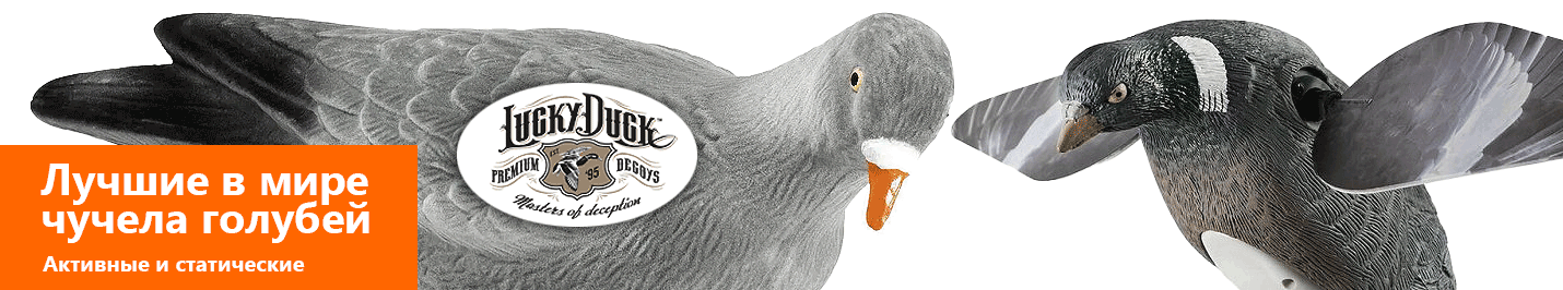 Чучела голубей эксперт-класса от легендарного бренда "Lucky Duck". Цена снижена.