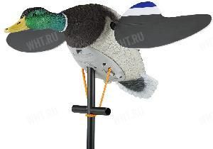 Чучело кряквы (селезень) Lucky Duck с вращающимися крыльями, питание 6V - Lucky Junior II картинка анонса на сайте WHT.ru