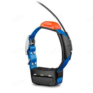 Дополнительный ошейник Alfa T-5 к Garmin Astro 320 и Alpha 50 картинка анонса на сайте WHT.ru