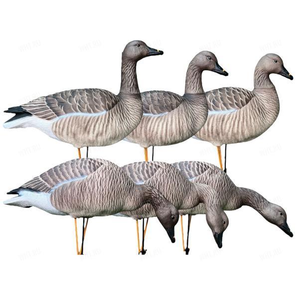 Чучела гуся гуменника полевые сминаемые ELITE 3D Avian Mix (комплект 6 штук, съемные головы) картинка анонса на сайте WHT.ru