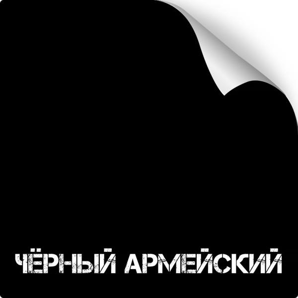 Оружейная краска Titanium в балоне 350 мл (чёрный армейский) картинка анонса на сайте WHT.ru