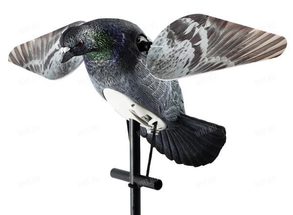 Чучело голубя с вращающимися крыльями Lucky HD Wood Pigeon картинка анонса на сайте WHT.ru