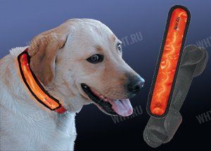 Сигнальная накладка на ошейник Nite Ize LED картинка анонса на сайте WHT.ru