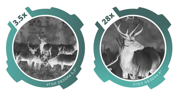 SFH VARG 50RL_zooom.jpg