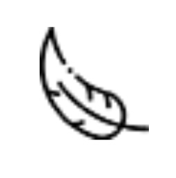 feather2_26x.jpg