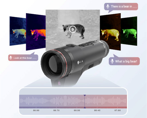 TJ1250LRF_Pro_video_audio.jpg