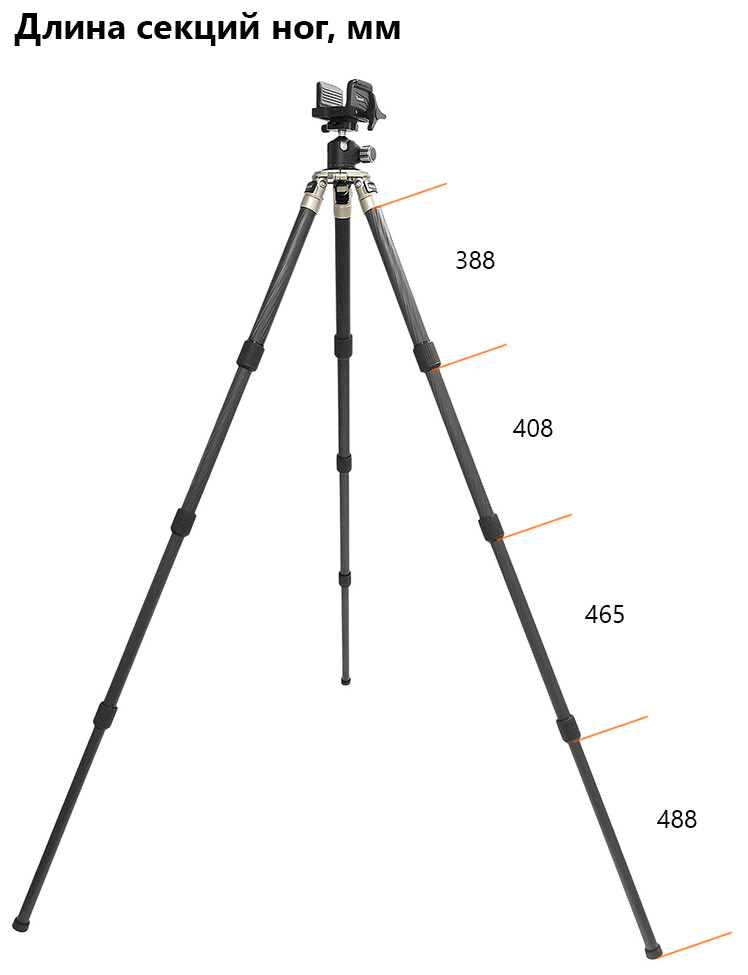DR2_CF40_02_D.jpg
