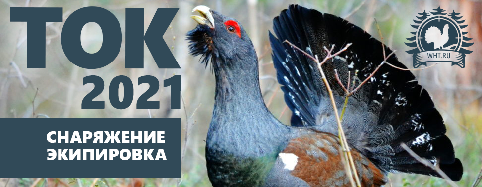 Capercaillie-2021-21x9_resize_article.png
