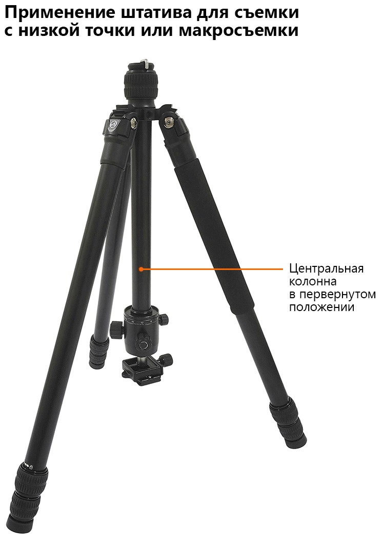 AL28+QC105_07_D.jpg