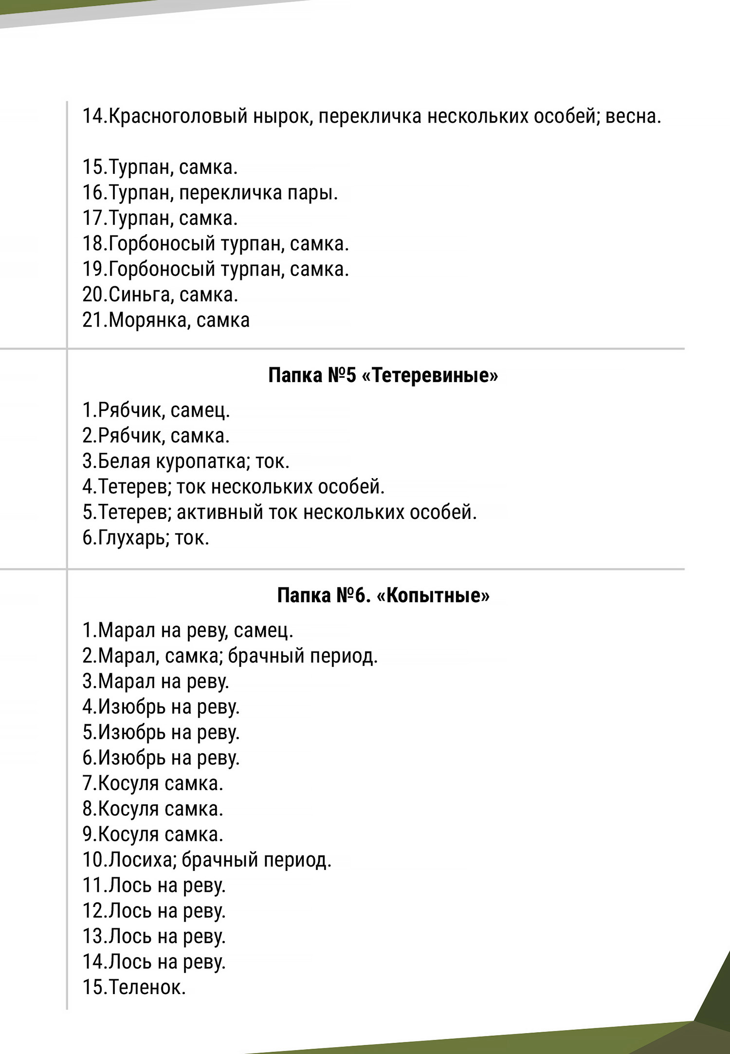 Фонотека 2А-Байанай-v4-4_1500.jpg