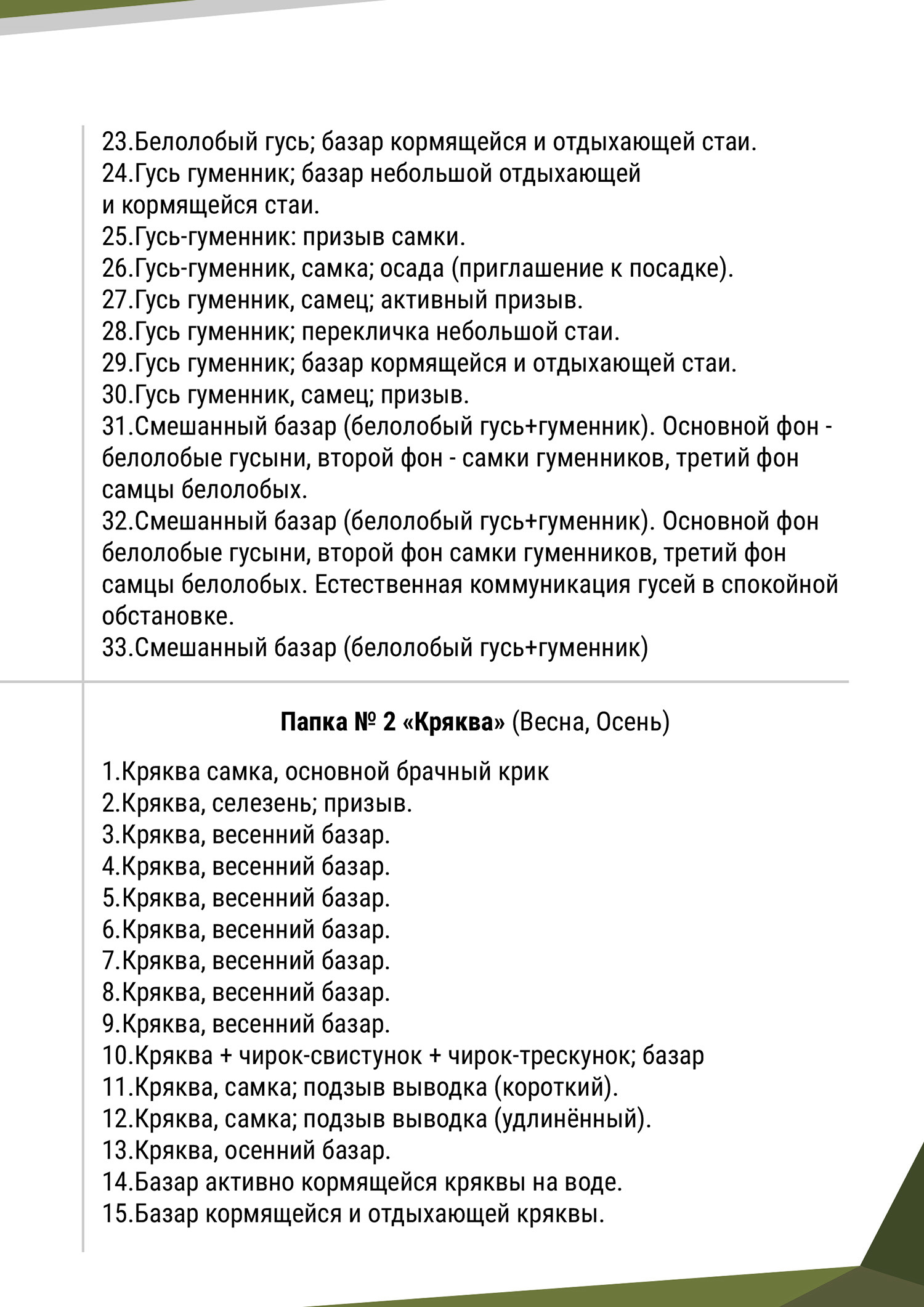Фонотека 2А-Байанай-v4-2_1500.jpg
