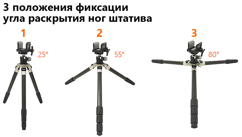 DR2_CF36_04_D.jpg