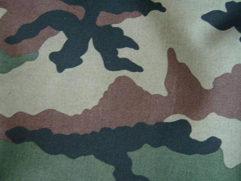 CCE camo - (Camouflage Central European)..jpg